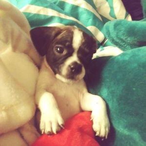 Meet your Posher, Sara